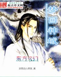 梦回神域封面