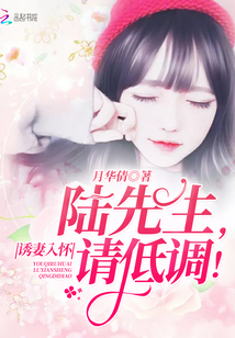 诱妻入怀：陆先生，请低调！封面