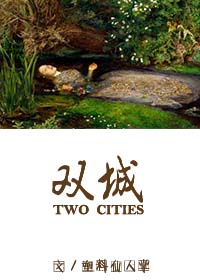 双城（娱乐圈）封面