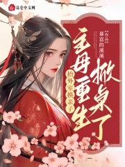 抬外室换亲子？主母重生掀桌了封面