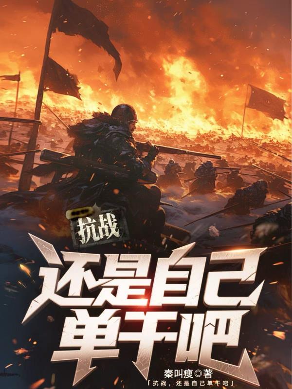 抗战，还是自己单干吧封面