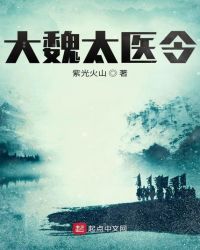 大魏太医令封面