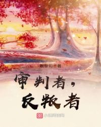 审判者,反叛者封面