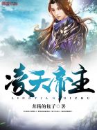 凌天帝主封面