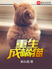重生成橘猫封面
