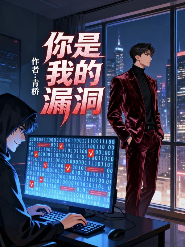 你是我的漏洞封面