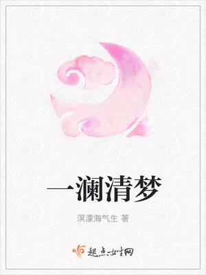 一澜清梦封面