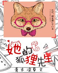 她的狐狸先生封面