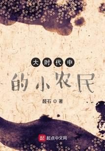 大时代中的小农民封面