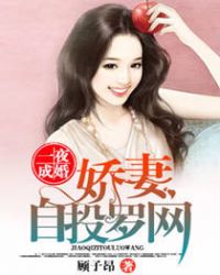 一夜成婚，娇妻自投罗网封面