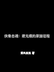 侠骨忠魂：君无痕的家国征程封面