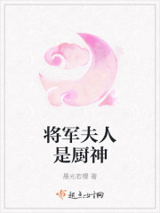 将军夫人是厨神封面