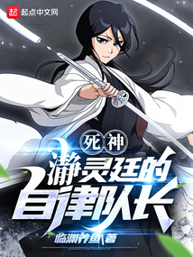 死神：瀞灵廷的自律队长封面