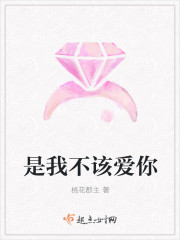 是我不该爱你封面