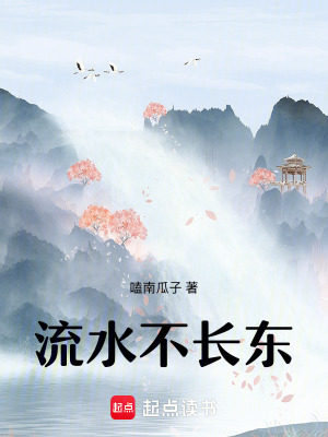 流水不长东封面