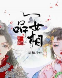 一品女相封面