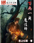 百无一用魔法师封面