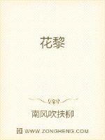 花黎封面