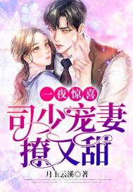 一夜惊喜：司少宠妻撩又甜封面