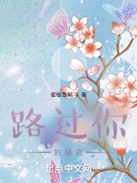 路过你的秘密封面