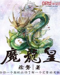 魔龙皇封面