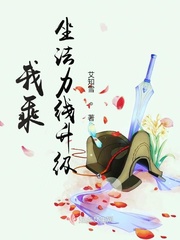 我乘坐法力线升级封面