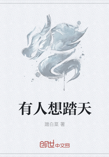 有人想踏天封面