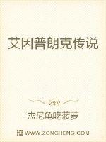 艾因普朗克传说封面