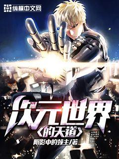 次元世界的天道封面