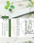 美好还是太美好封面