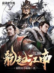 三国：龙起江南封面