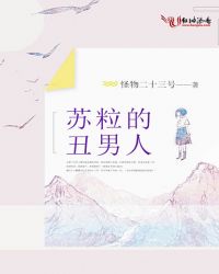 苏粒的丑男人封面