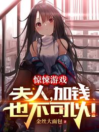 惊悚游戏:夫人,加钱也不可以!封面