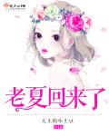 老夏回来了封面