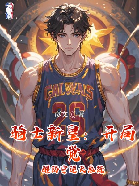 骑士新皇：开局觉醒防守逆天系统封面