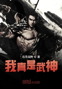 我真是武神封面