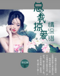 总裁掠爱情深错封面