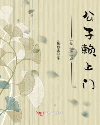 反穿之公子赖上门封面