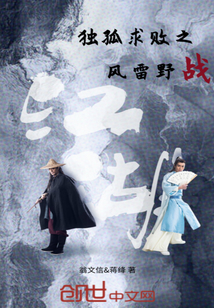 独孤求败之风雷野战封面