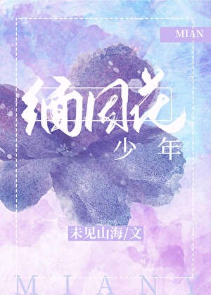 缅因花少年封面