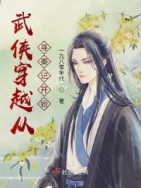 武侠穿越从寻秦记开始封面