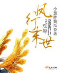 凤行末世封面