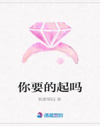 你要的起吗封面