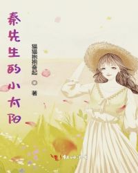 秦先生的小太阳封面