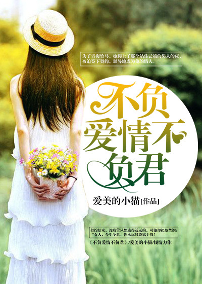 不负爱情不负君封面