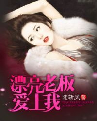漂亮老板爱上我封面