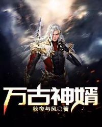 万古神婿封面