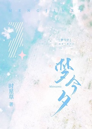 梦今夕封面