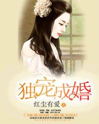 独宠成婚封面