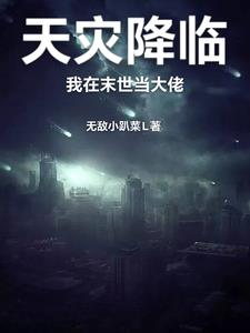 天灾降临：我在末世当大佬封面